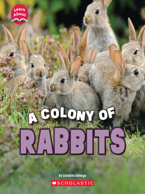 Title details for A Fluffle of Rabbits by Danielle Denega - Available